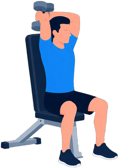 Triceps Extension